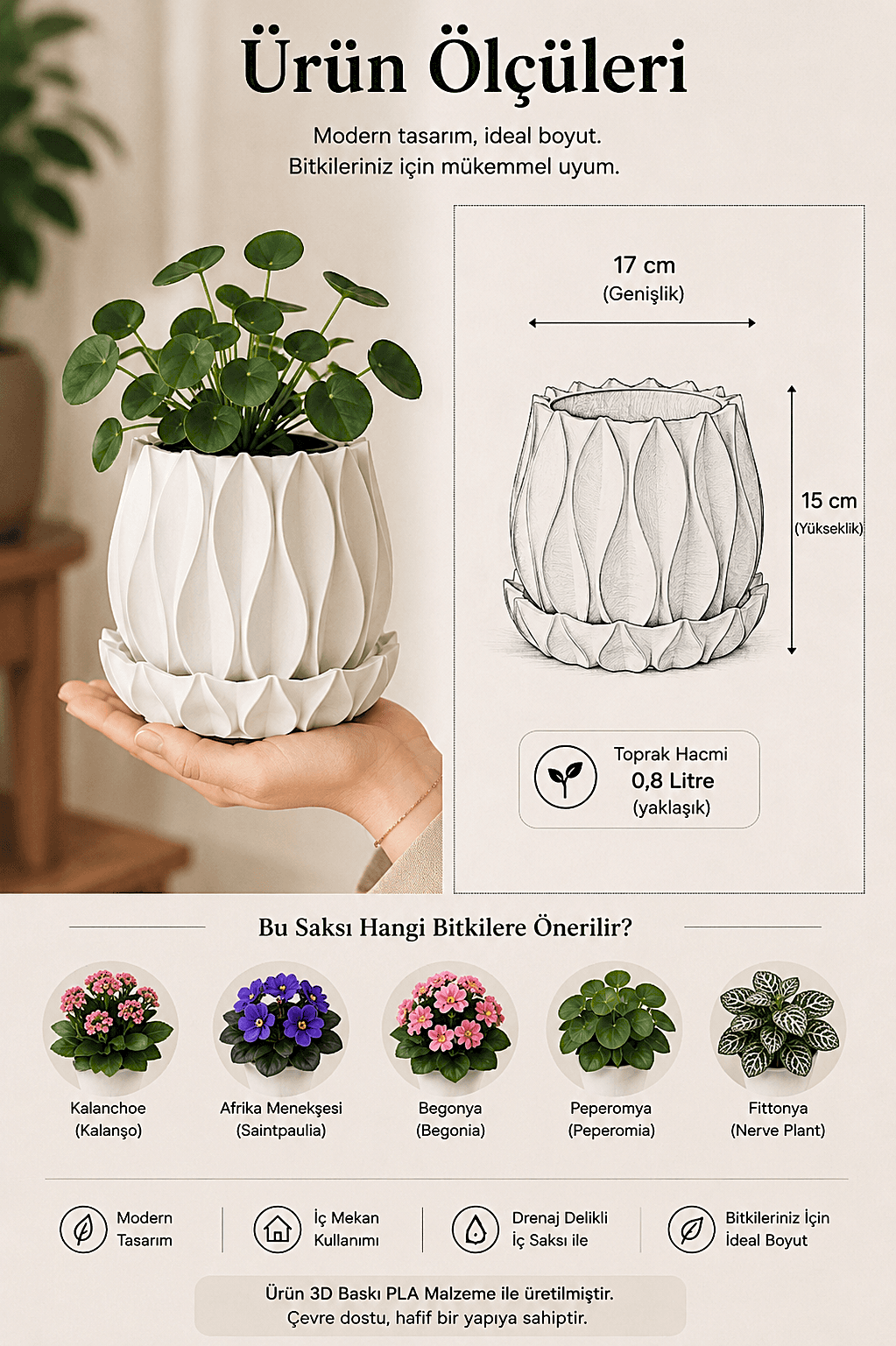 LILIUM Tabaklı Saksı