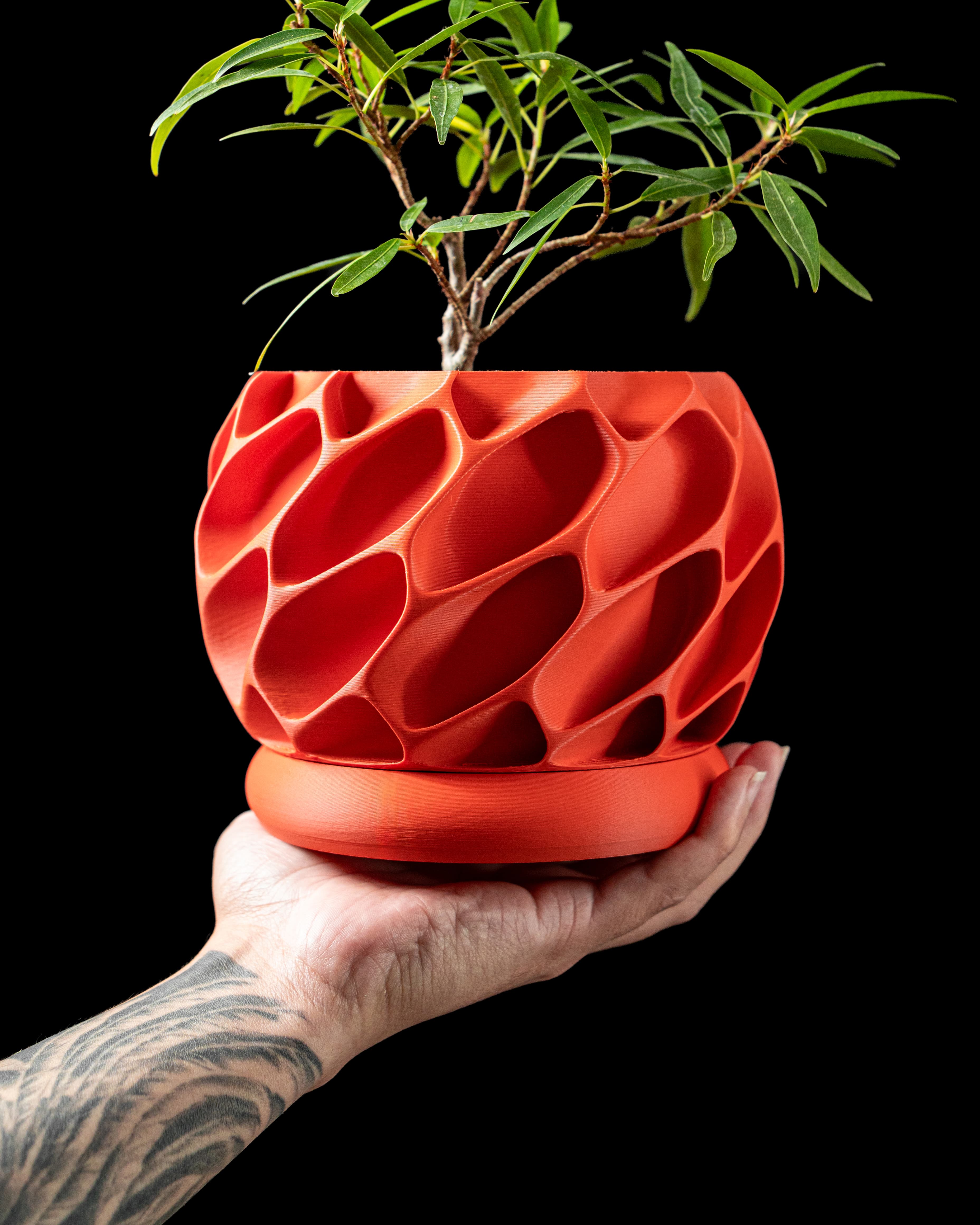 EXO PLANTER POT